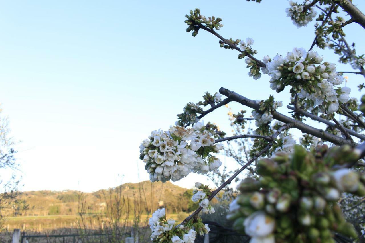 Villa Quinta Da Ribeira Belmonte  Esterno foto